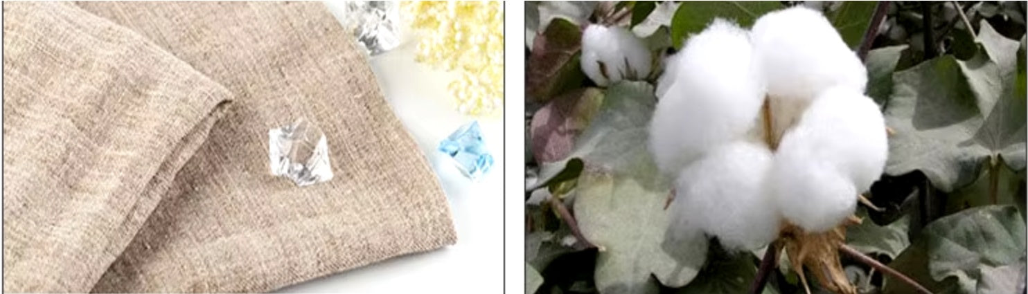 Collage of a linen plant next to linen fabric, highlighting the connection between natural linen production and its luxurious texture, emphasizing sustainability and eco-friendliness. From Borcelleclothes.