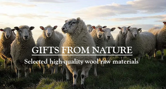 Sheep symbolizing the natural origins of wool and its sustainable contribution to luxurious clothing. From Borcelleclothes.
