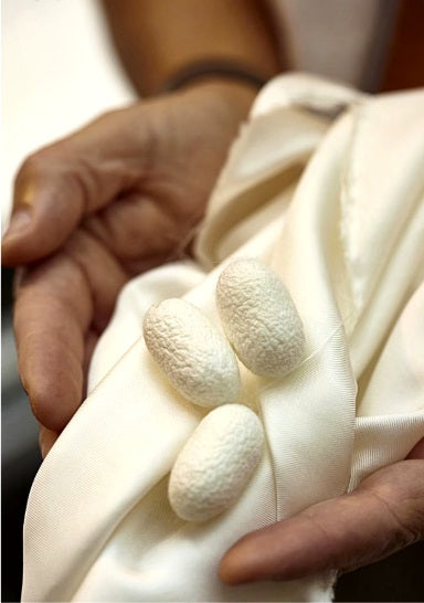 Hands gently holding Mulberry silk fabric and cocoons, showcasing the luxurious texture and natural origins of the silk material. From Borcelleclothes.
