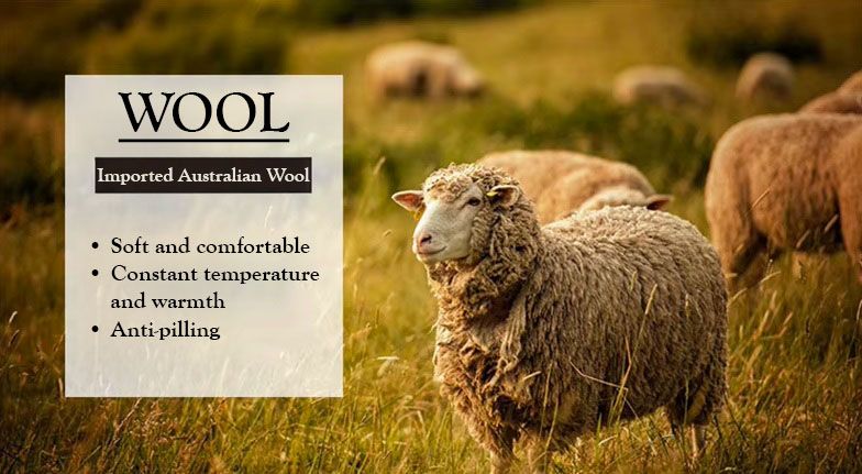 Australian sheep grazing in a green pasture, showcasing the ethical and natural source of the world’s finest Merino wool used in luxury garments. From Borcelleclothes.